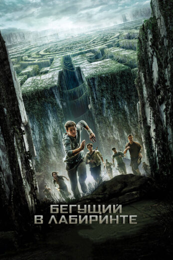 Постер фильм Бегущий в лабиринте